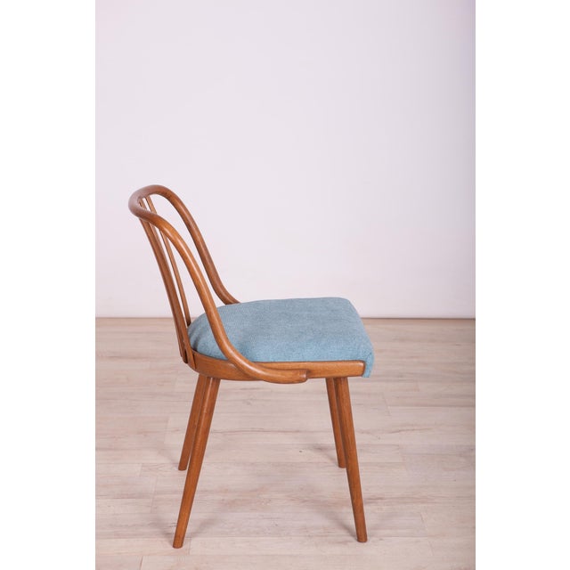 Wood Dining Chairs attributed to Antonin Suman for Ton, 1960s, Set of 4 For Sale - Image 7 of 15
