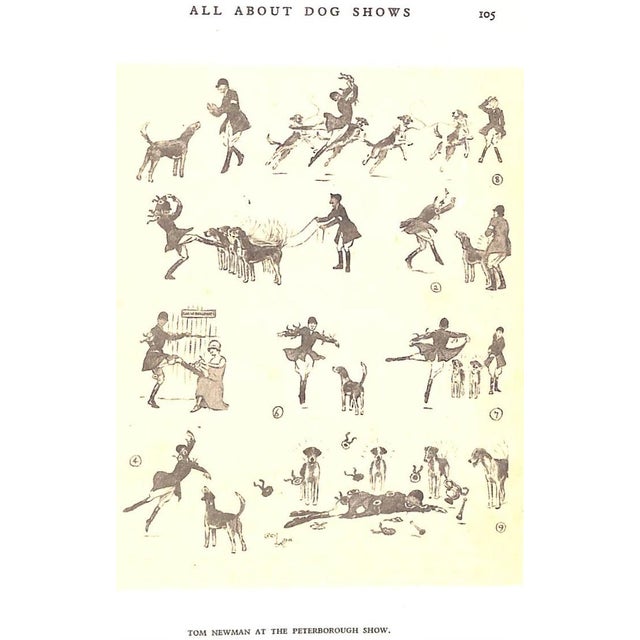 Traditional "Dogs of Character" Book 1927 Aldin, Cecil For Sale - Image 3 of 12