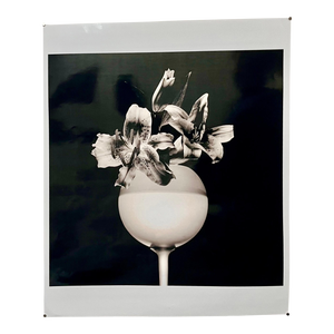 Large Photograph Tiger Lillies Robert Mapplethorpe Silver Gelatin Photo Flowers, c.1987