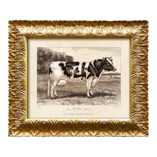 Reproduction Art Print of Vintage Holstein (2) Cow in Ornate Gold Frame For Sale