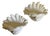 Serge Roche Style Clam Shell Wall Pockets - A Pair For Sale