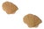 Clam Shell Pencil Reed Rattan Wall Sconce (Set of 2) For Sale