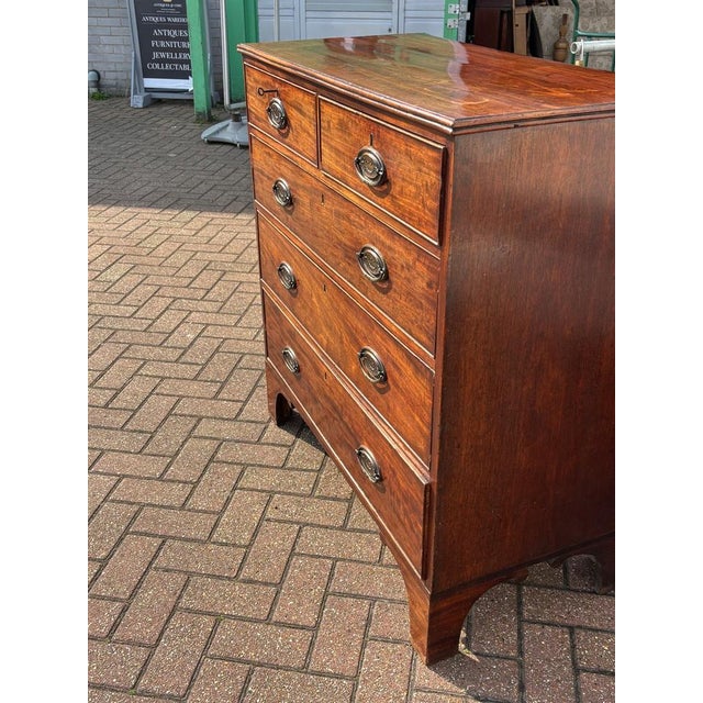 Georgian Mahogany Chest of Drawers For Sale - Image 10 of 14
