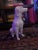 1980s 1980s White Hunting Dog Figurine From England For Sale - Image 5 of 7
