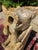 Antique French Stone Gargoyle For Sale - Image 8 of 15