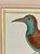 Antique Francois Martinet Bird Hand Colored Print "Bee Eater" Framed No Glass For Sale - Image 4 of 8