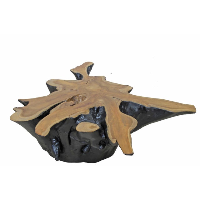 Organic Star Teak Root Coffee Table Base For Sale In Greensboro - Image 6 of 6