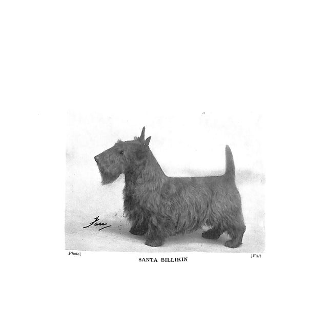 1930s "The Scottish Terrier: Its Breeding and Management" 1938 Gabriel, Dorothy For Sale - Image 5 of 7