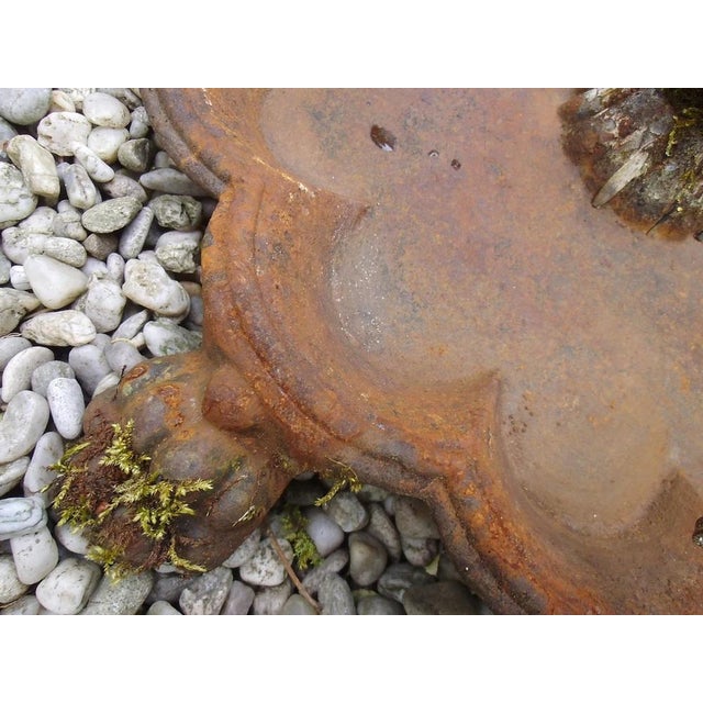 Antique Iron Birdbath, 1890s For Sale - Image 6 of 12