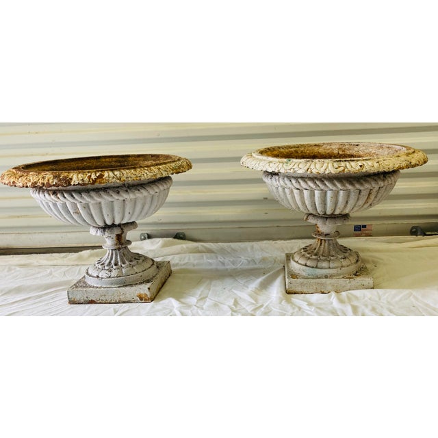 Large Pair Antique White & Rust Neoclassical Iron Garden Planters Early 20th Century For Sale In Dallas - Image 6 of 10