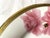 Contemporary 2006 Charter Club Luncheon Plates, Pink Fashion Rose Buffet, Pink With Gold Encrusted Rim - Set of 4 For Sale - Image 3 of 18