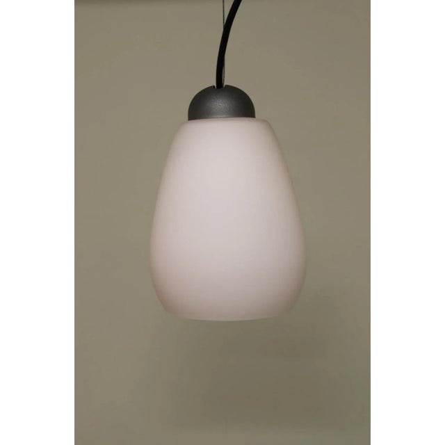 Late 20th Century 1990s Rosanna Toso Murano Pendant Lamp Rose Glass For Sale - Image 5 of 9