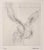 Hans Bellmer (German, 1902-1975) Untitled Figurative Etching Circa 1950 Signed Limited Edition of 50 (11/50) Matted/Framed...