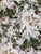 Lee Jofa MAISIE LINEN - TAN/LEAF 2 yards LEE JOFA PARISH-HADLEY Width 51.5 in (130.81 cm) Vertical Repeat 36 in (91.44 cm)...