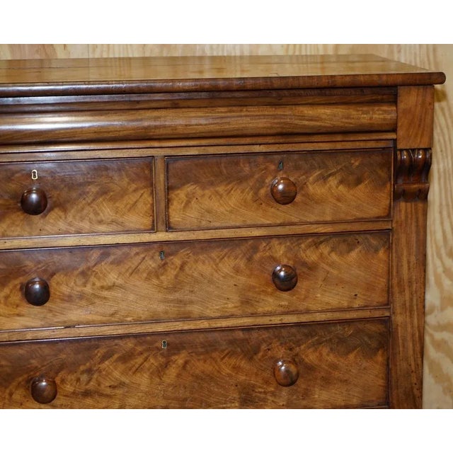 Large 19th Century Light Flamed Hardwood Chest of Drawers with Hidden Drawer For Sale - Image 8 of 17