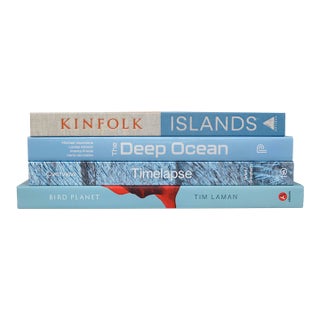 Decorative Books - Ocean Coffee Table Stack - 4 Blue Books For Sale