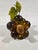 Vintage grapes, avacado green measures approximately 7" x 4" in good condition on driftwood MCM