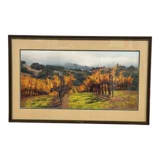 June Carey Fall Vineyard Limited Edition Giclée, Signed For Sale