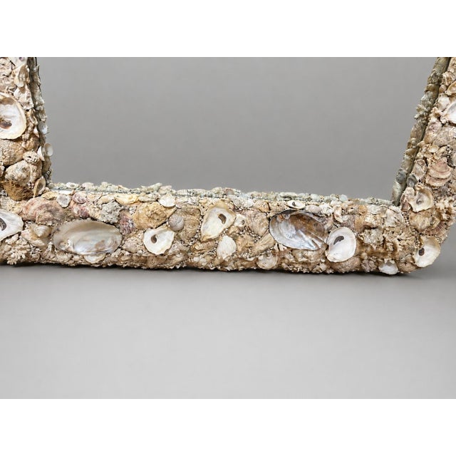 Silver Monumental Coastal Boho Grotto Seashell Coral Oyster Shellwork Mirror 6' X 4' For Sale - Image 8 of 9