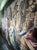 17th Century French The Family of Darius Before Alexander Tapestry from Aubusson For Sale - Image 12 of 16