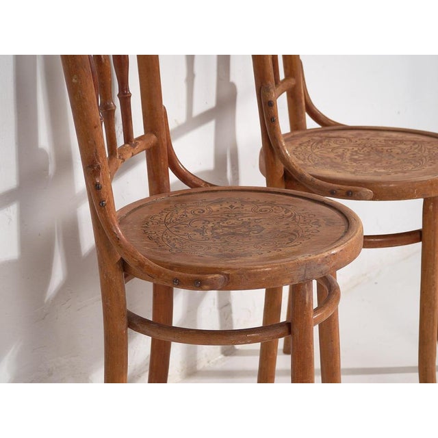 1920s Set of Chairs with Engraved Seats from Thonet, 1920s For Sale - Image 5 of 15
