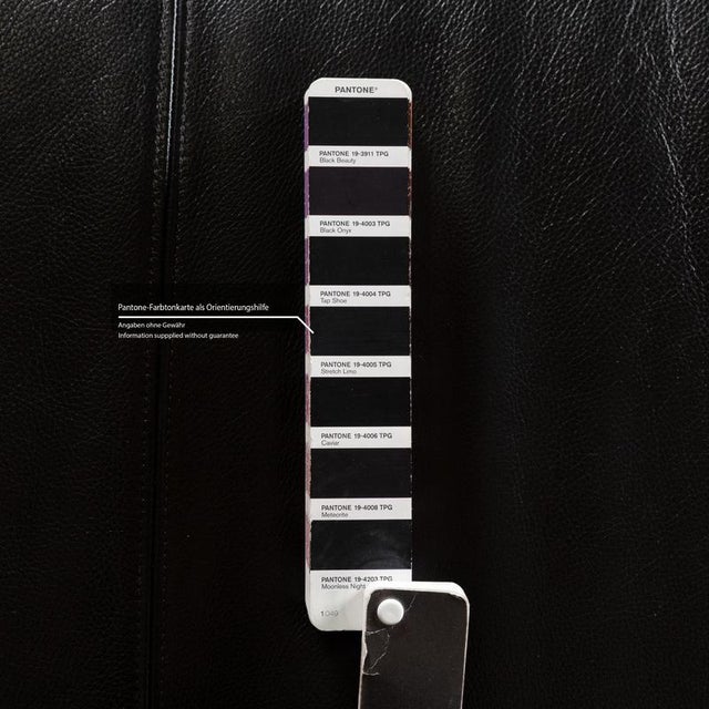 Animal Skin 322 3-Seater Sofa in Black Leather from Rolf Benz For Sale - Image 7 of 11