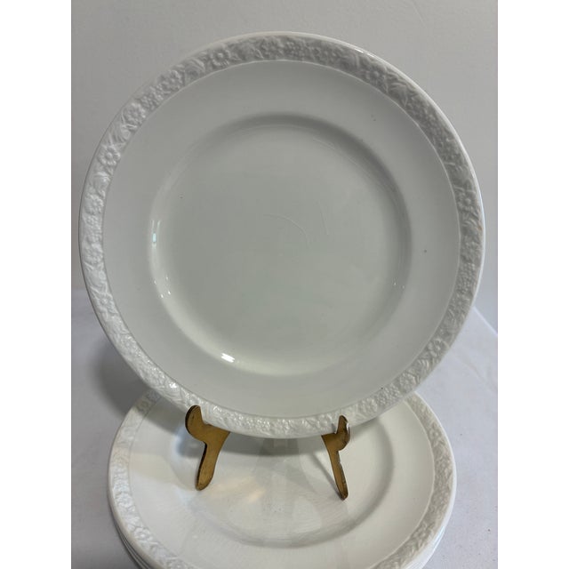 These charming Hedge Rose plates by Wedgwood & Co. Ltd. of England are vintage finds with a raised floral border around...