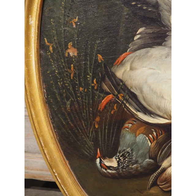 Pair of French Antique Hunt Trophy Paintings in Giltwood Frames, 19th Century For Sale - Image 11 of 18