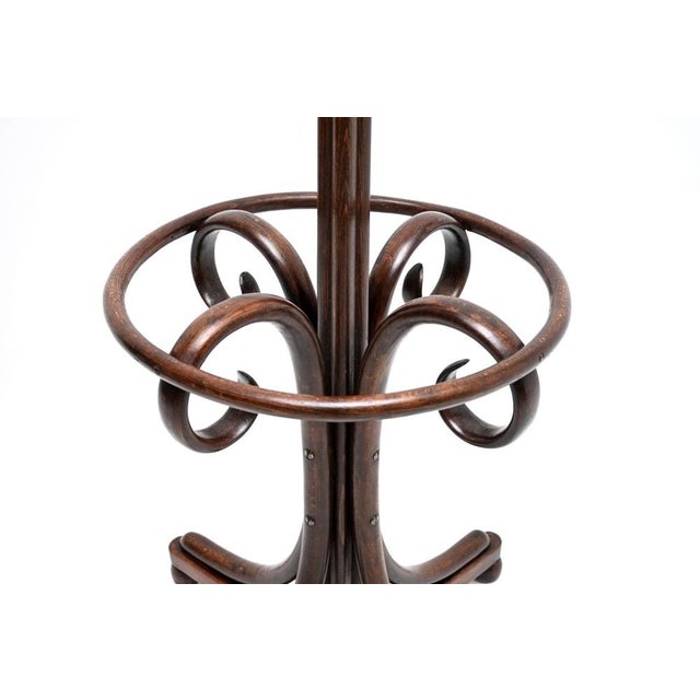 Brown Antique Victorian Bentwood Coat Rack, 1880s For Sale - Image 8 of 10
