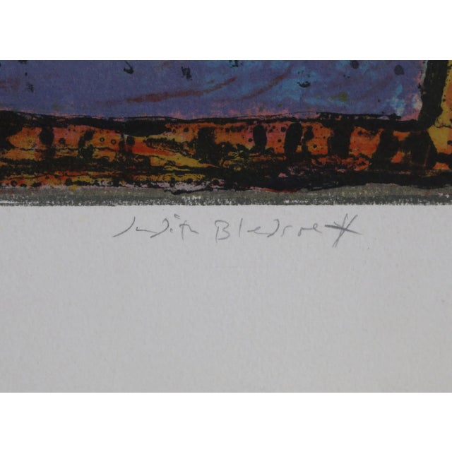 American Bird and Sun, Judith Bledsoe For Sale - Image 3 of 4