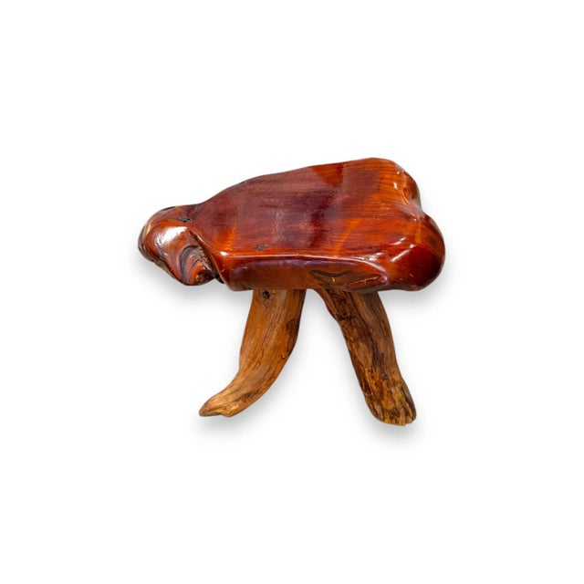 Mid-Century Modern Burl Wood Side Table For Sale - Image 3 of 6