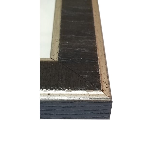 Munting Botanicals Set 7 Framed in Italian Wood Veneer Moulding Chairish