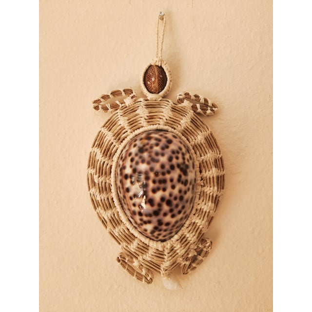 Turtle Cowrie Seashell Figurine Wall Art For Sale In Fayetteville, AR - Image 6 of 8