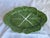 Rustic European Vintage Bordallo Pinheiro Oval Green Cabbage Serving Platter For Sale - Image 3 of 7