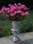 2020s Pair of Large Pedestal Urn Lamps Polished Aluminum Made in India For Sale - Image 5 of 8