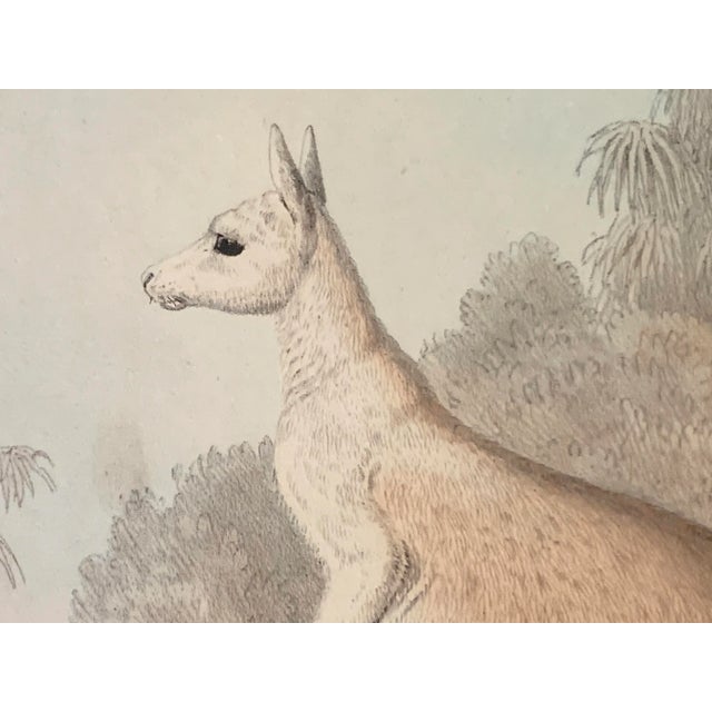 Mid 19th Century Victorian h.c. Richter Hand Colored Lithograph Artwork For Sale - Image 5 of 7