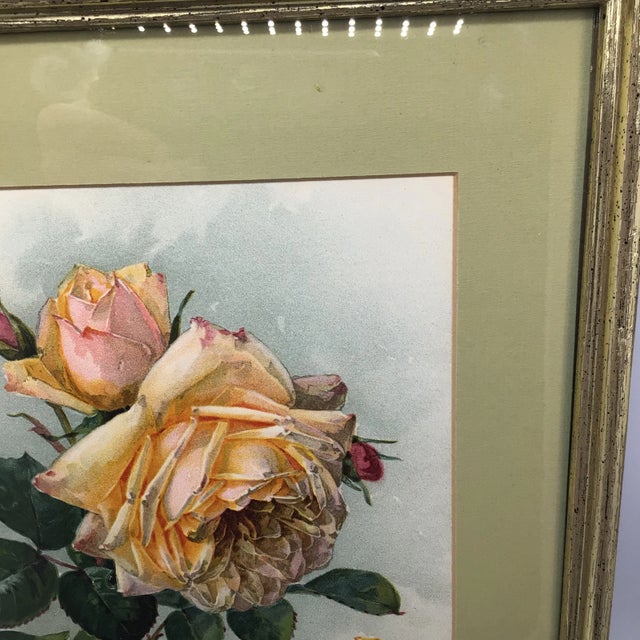 Paul De Longpre Roses 1905 Framed Lithograph Printed by the Grey Co. New York For Sale - Image 9 of 13