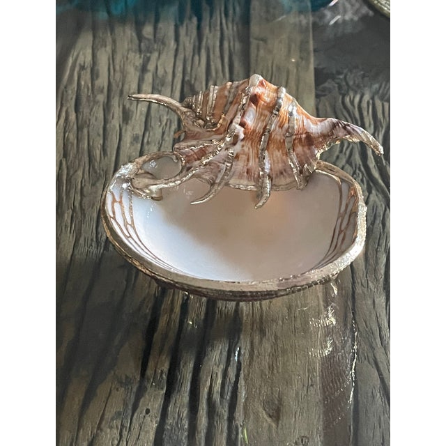 Antique silvered sea shells on 3 ball feet small dish. Decorative and collectible.