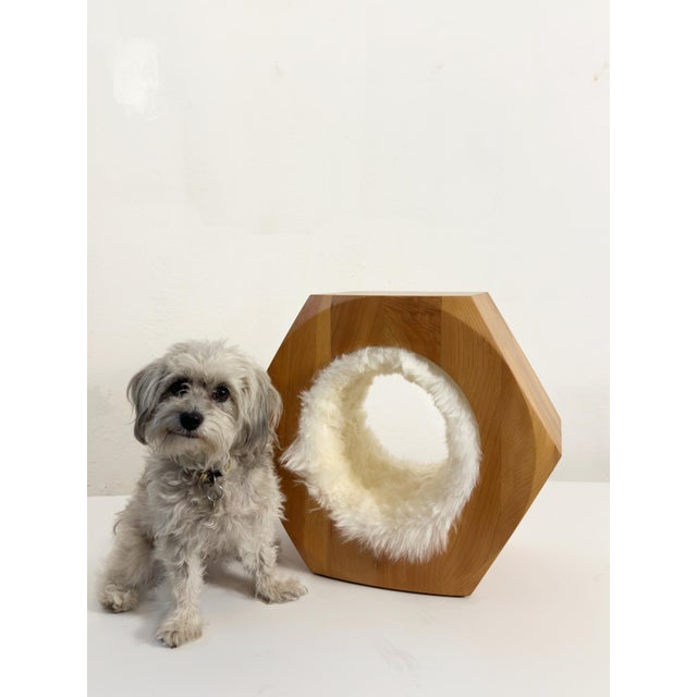 Nut Stool by Mauro Dell'Orco For Sale - Image 11 of 11