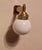 Astoria Brass and Glass Wall Light by Josef Hoffmann For Sale - Image 9 of 10