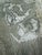 1977 Vintage Limited Ed. Carol Travers Lummus Etching Entitled Catcher in the Rye Two, No. 81 of 250 For Sale - Image 4 of 4