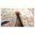 Tan Antique Persian Tabriz Wool 10x13 Tan, Red and Ivory Handmade Area Rug #9902412 For Sale - Image 8 of 8