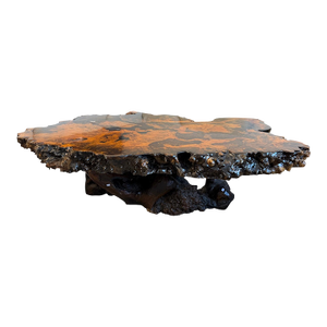 1970s Organic Burl Wood Live Edge Coffee Table With Sculptural Root Base