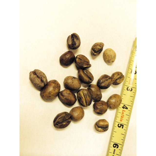 1980s 1980s Faux Coffee Beans - Pop Art -Hand Carved One of Kind Larger Than Life - Set of 12 For Sale - Image 5 of 5