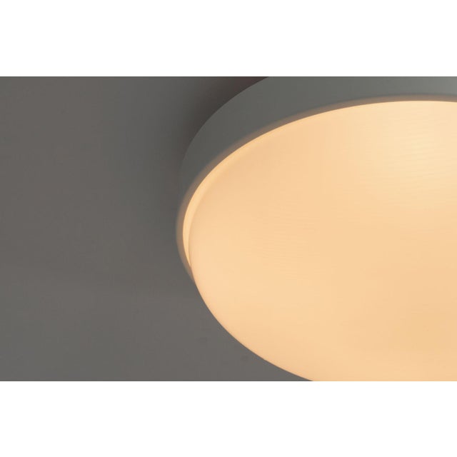 Gold Ceiling Lamp Model 3001/40 attributed to Gino Sarfatti for Arteluce, 1950s For Sale - Image 8 of 13