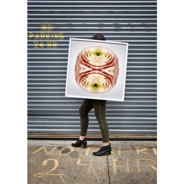 Diptych - No. 199 & No. 207 - Limited Edition Botanical Print by Erin Derby For Sale - Image 4 of 8