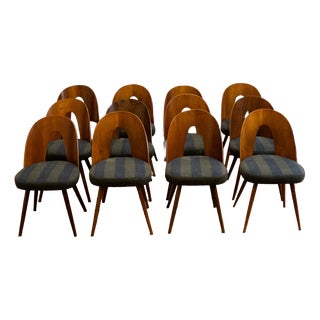 Wooden Chairs by Antonín Šuman, Former Czechoslovakia, 1960s, Set of 12 For Sale