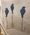 Decorative Limited Edition French Wallpaper Panels of Birds For Sale - Image 4 of 8