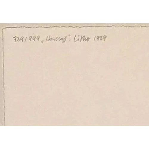 Artist: Anne Hausner Country: Germany Title: Hinauf Medium: Original Lithograph Marks: signed & numbered in pencil No....