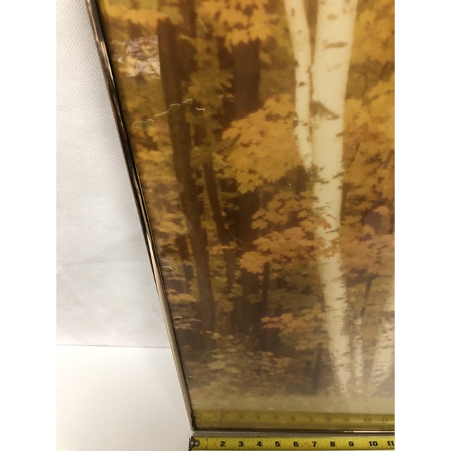 VTG William Plante 30" Nielsen Frame Signed Photograph Birch Tree Forest Scene For Sale - Image 10 of 11